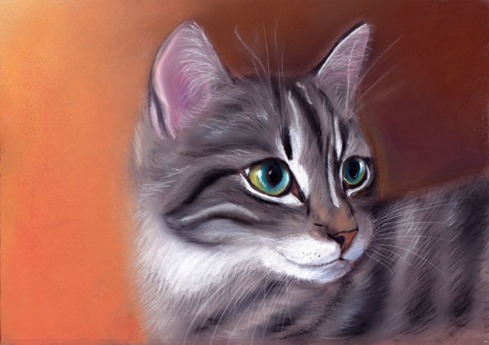 katze pastellkreide pastellmalerei